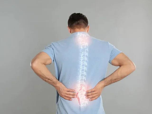Omurilik Pili Rehabilitasyonu